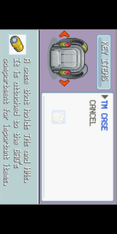 口袋妖怪 冥泣（美版）