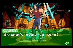 忍者神龟2（欧版）