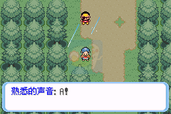 口袋妖怪命运3生命守护者（汉化版）