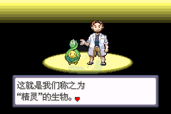 口袋妖怪命运3生命守护者（汉化版）