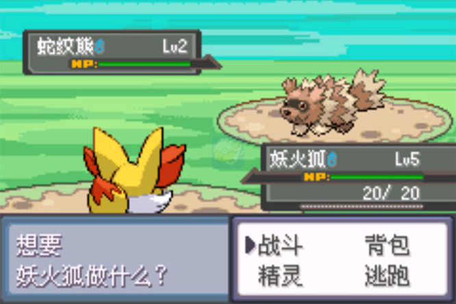 口袋妖怪 错乱的时空（中文版）