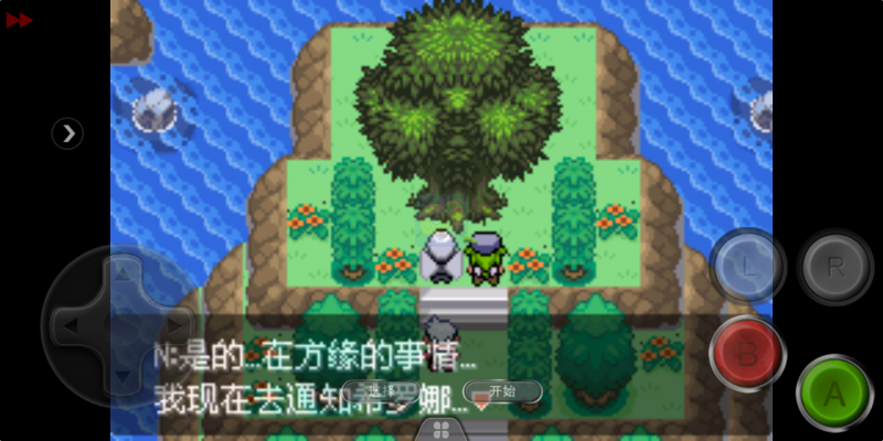 口袋妖怪 永恒之沫3.0续版（中文版）