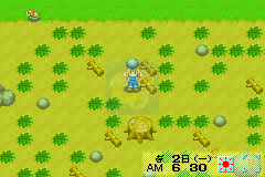 牧场物语 矿石镇的伙伴们女孩篇（K简体汉化版）