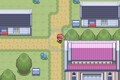 口袋妖怪 大红（中文版）