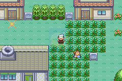 口袋妖怪 口赛大战（中文版）