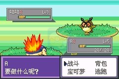 口袋妖怪 液体水晶（中文版）