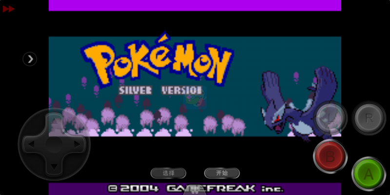 口袋妖怪 迷失夜4（中文版）