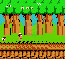 高桥名人的冒险岛(美版)