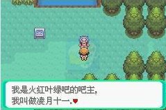 口袋妖怪 Mega觉醒0.5（中文版）