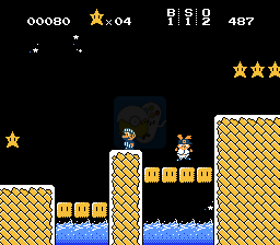 马里奥 泣兔狩版（英文版）