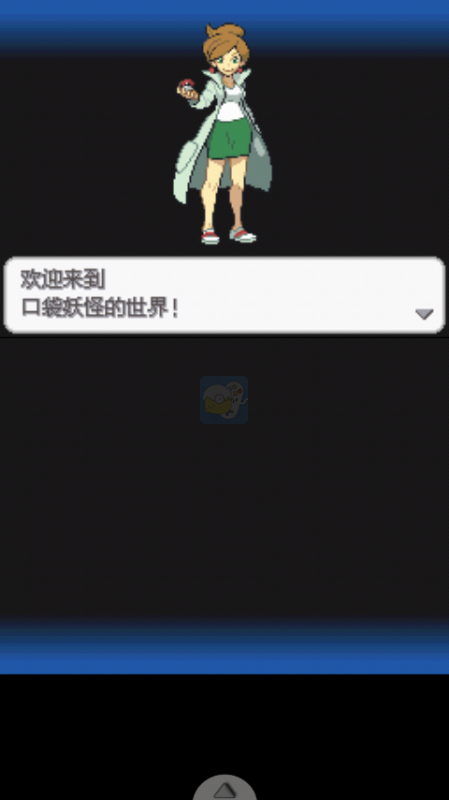 口袋妖怪 超透黑2（汉化版）