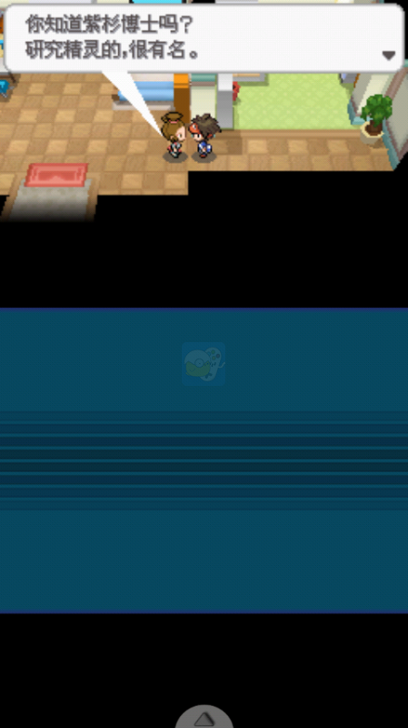 口袋妖怪 超透黑2（汉化版）