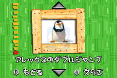 马达加斯加（日版）