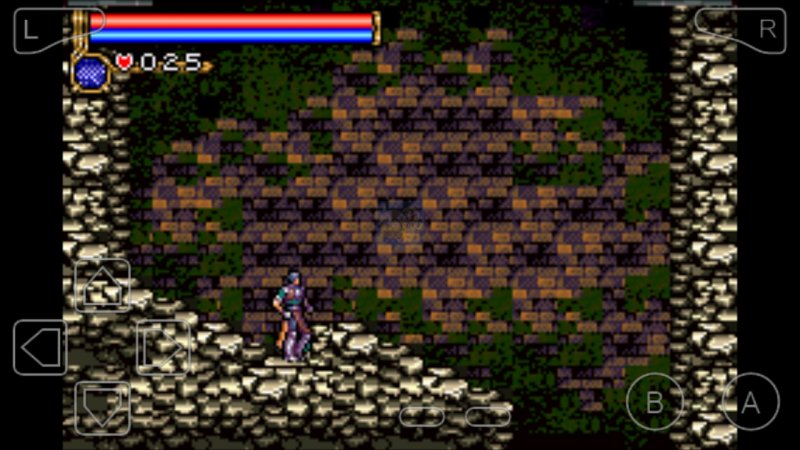 恶魔城月之轮回无敌版