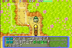 口袋妖怪不可思议的迷宫 红色救助队（简体汉化版）