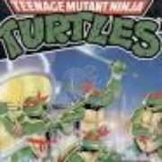 忍者神龟（美版）