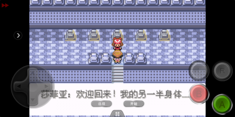 口袋妖怪 迷失夜5（中文版）