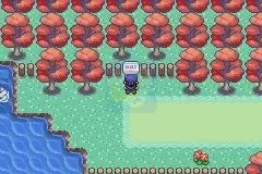 口袋妖怪 南河三（日版）