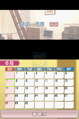 网球王子 双打王子 女孩闪耀气质（日版）