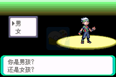 口袋妖怪 忆梦之颠（中文版）