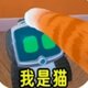 我是一只猫！