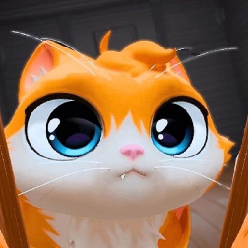 我是猫派对乐园