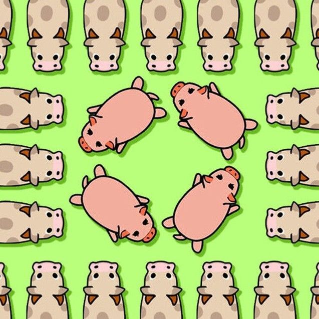 营救动物消消乐