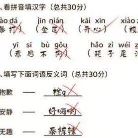 学霸改作业游戏