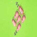 救出猪猪消除游戏