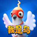 我是鸟正版