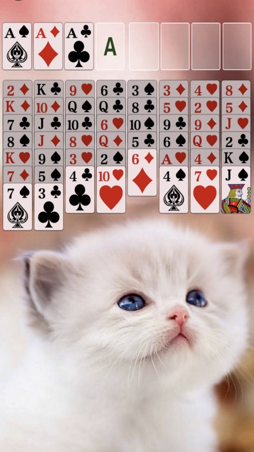 蜘蛛纸牌空当接龙合集单机益智