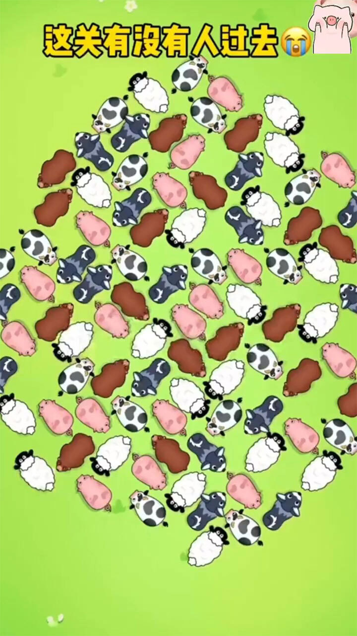 拯救动物大作战