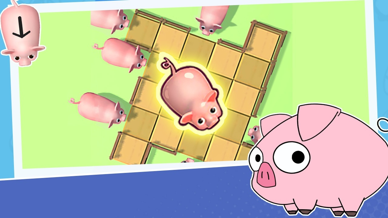 猪了个猪大冲关