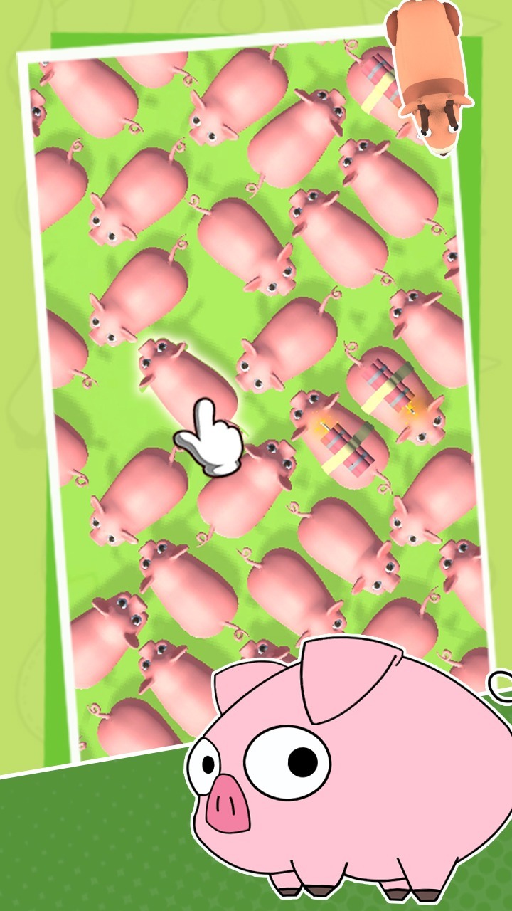 猪了个猪大冲关