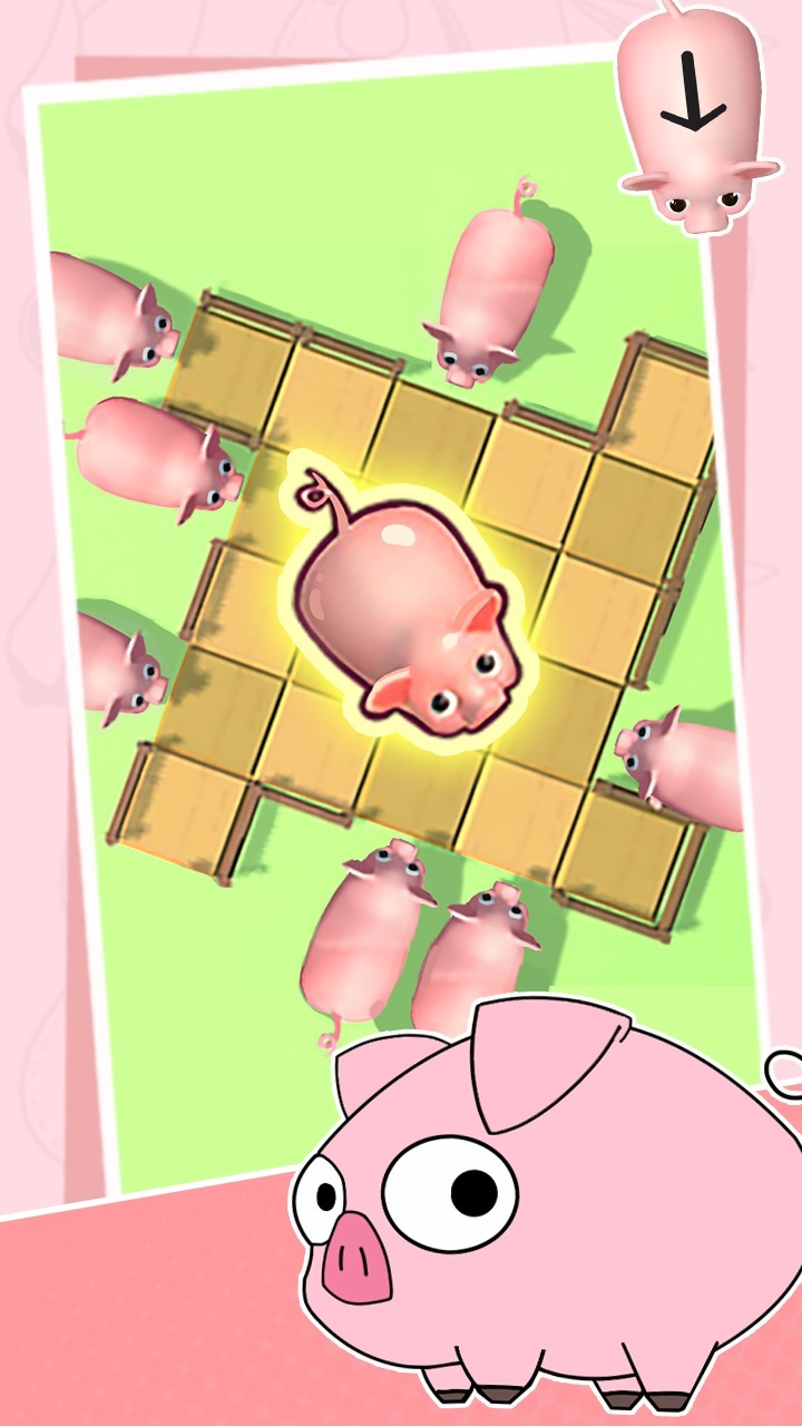猪了个猪大冲关