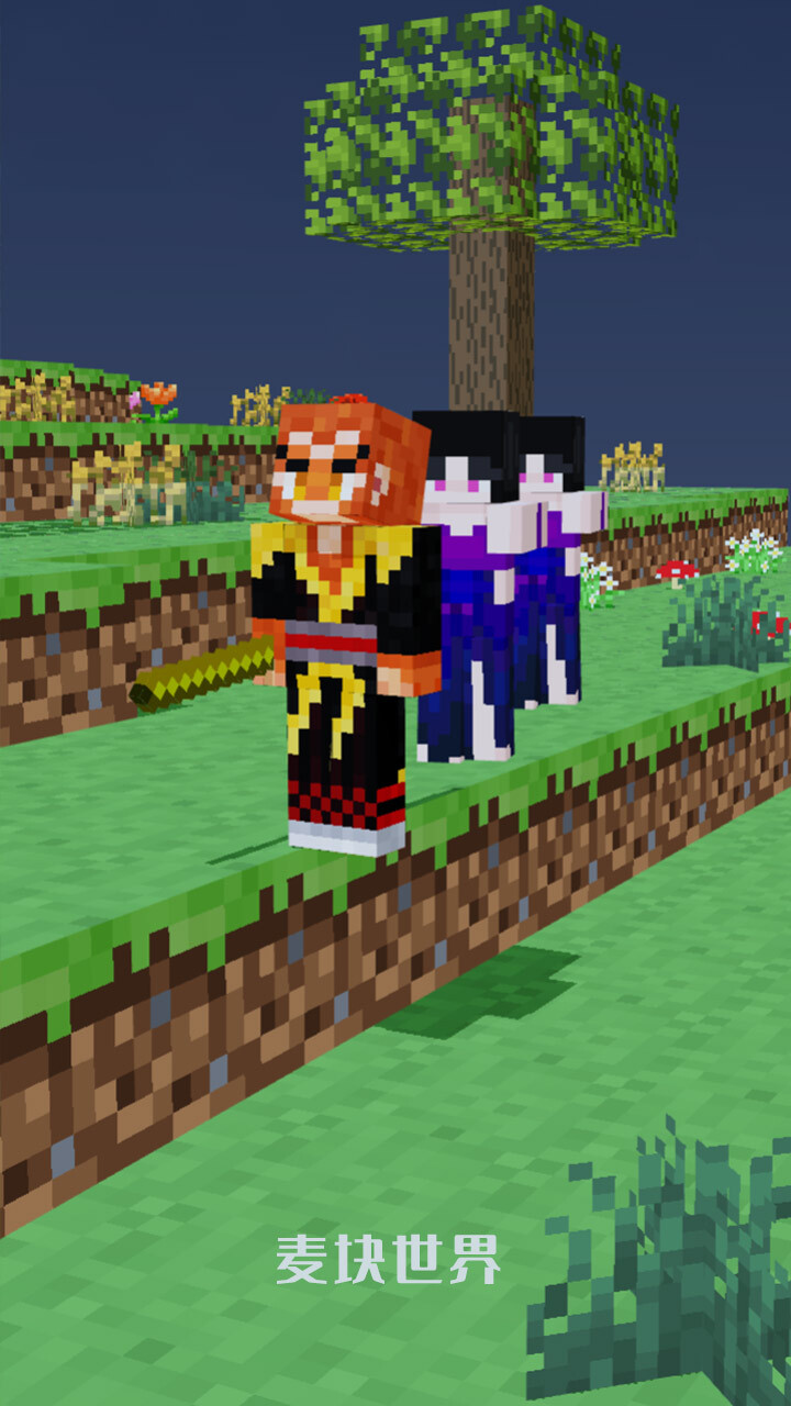 麦块世界