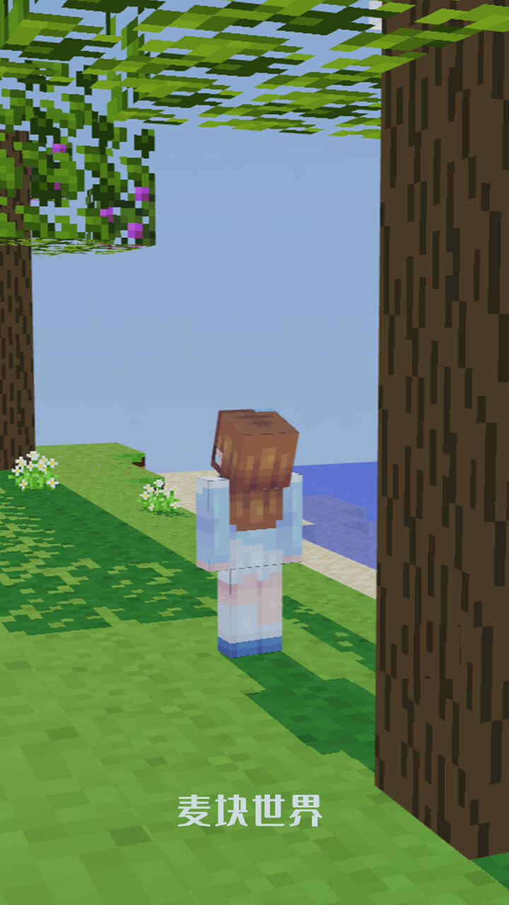 麦块世界