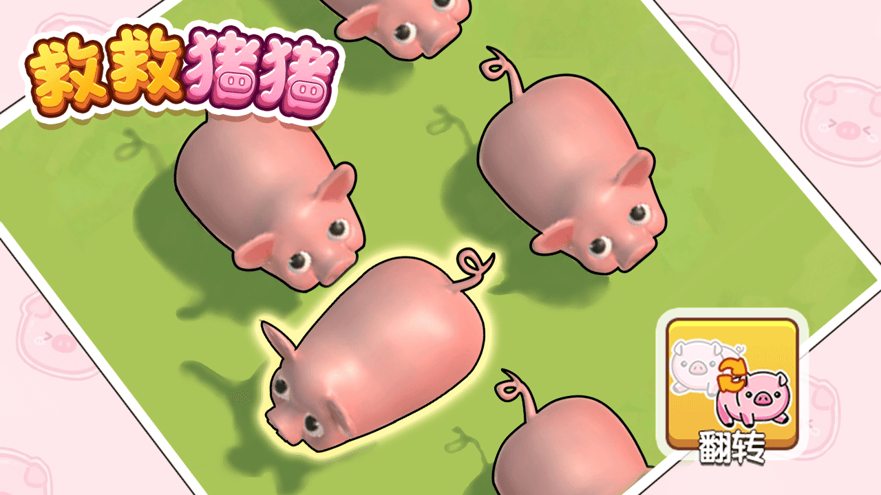 救救猪猪