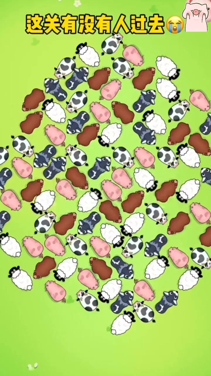 救救小猪猪消除