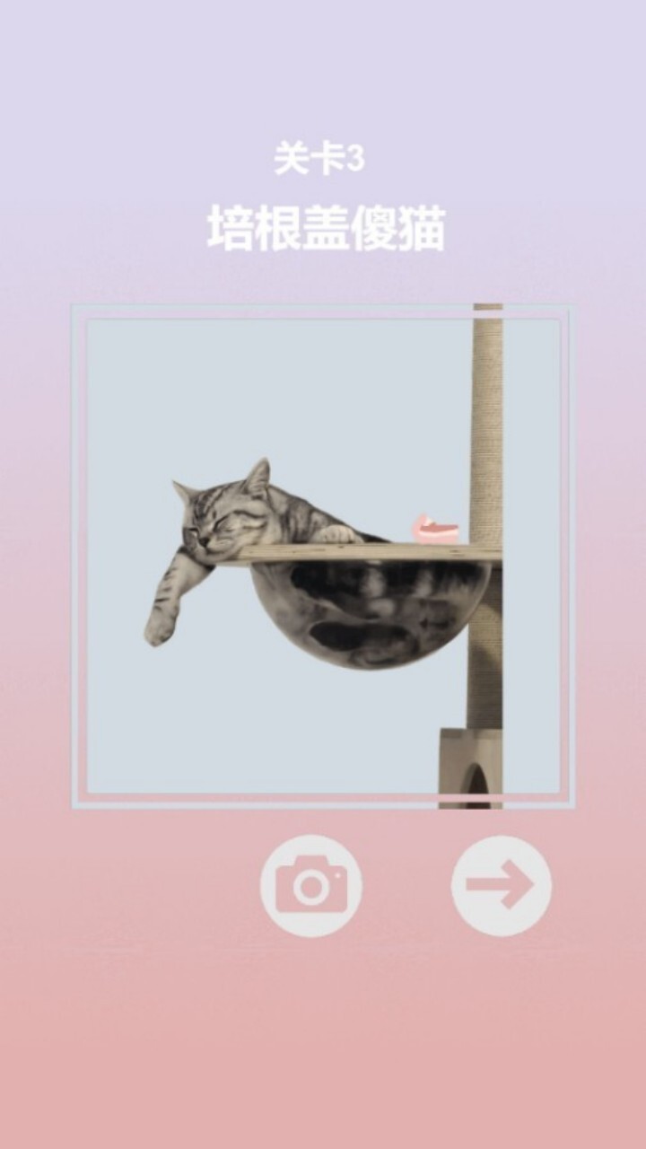 培根配万物游戏