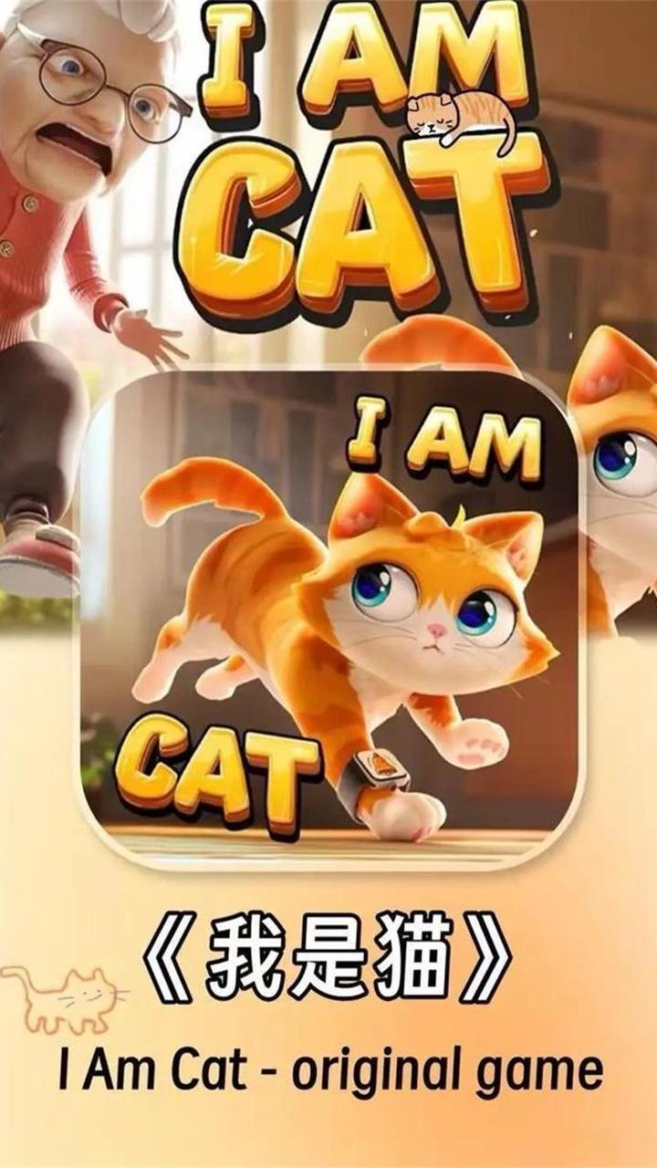 我是猫-拆家大师