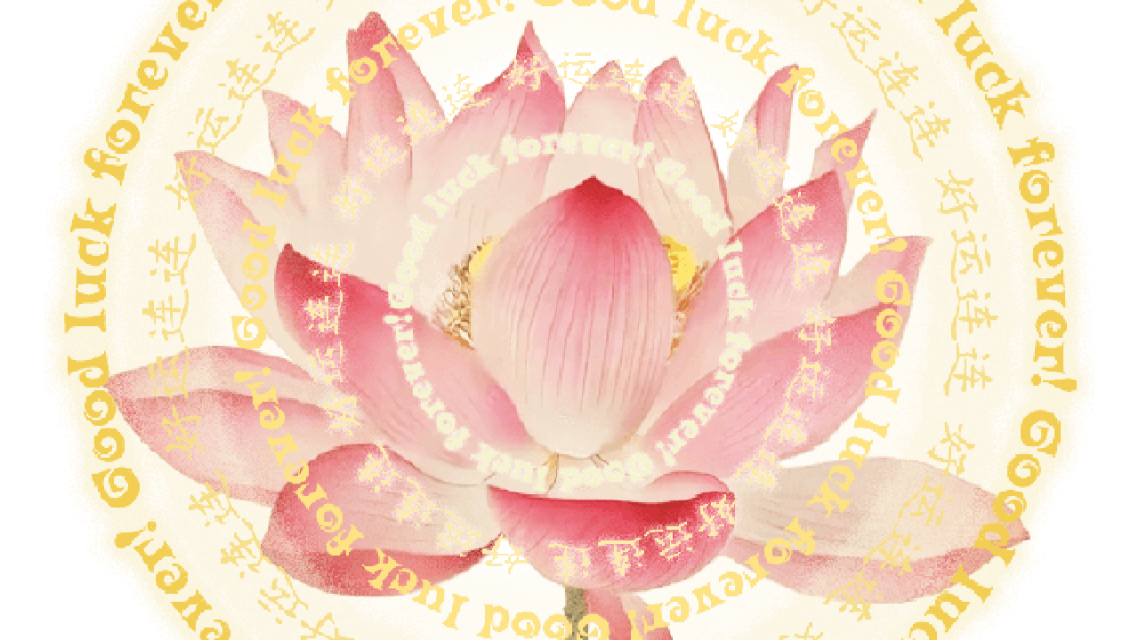 好运连连电子许愿莲