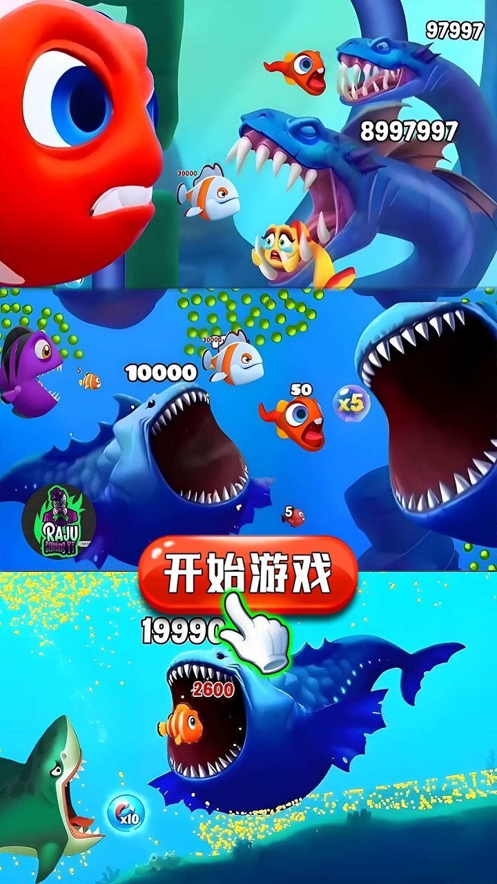 海底大鱼吃虾米