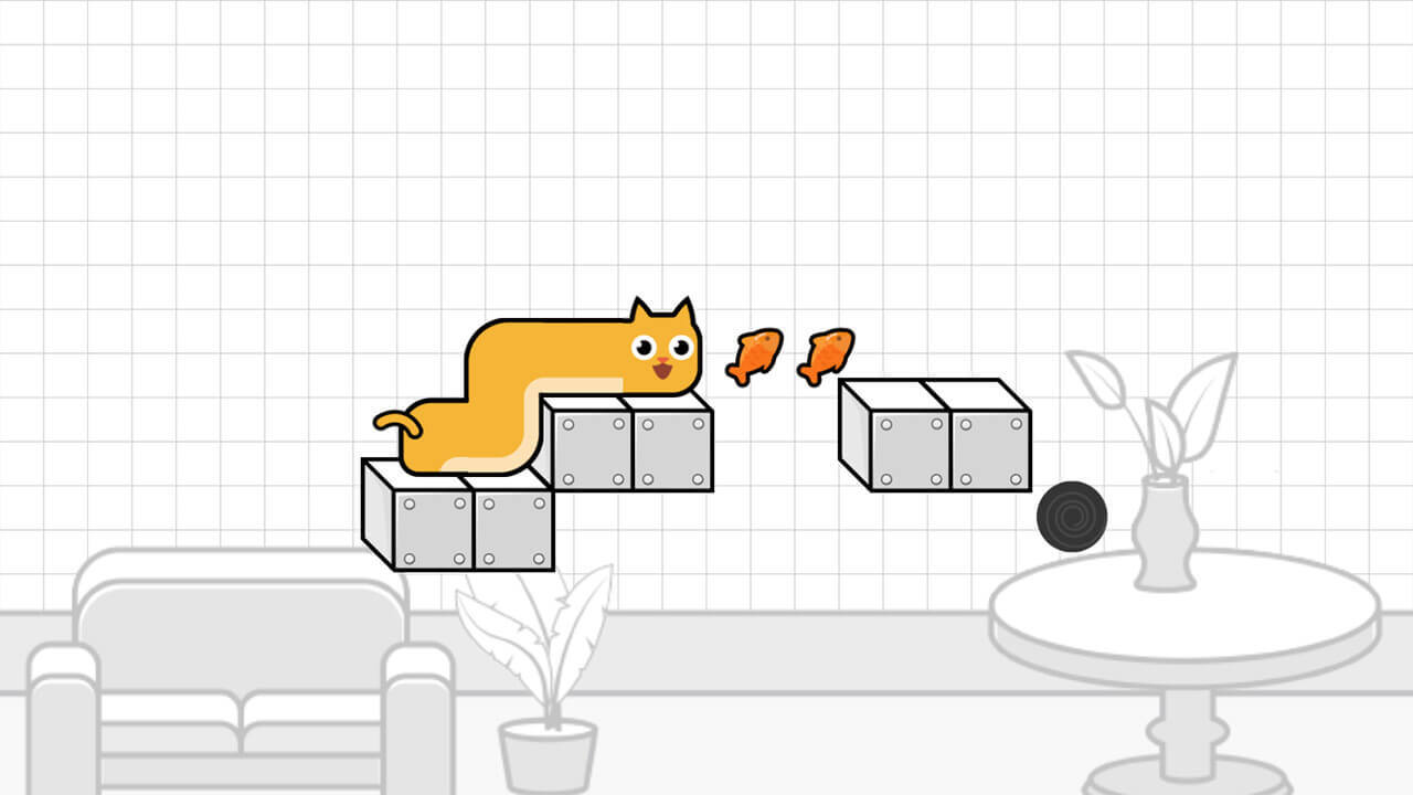 喵喵冲向小鱼干