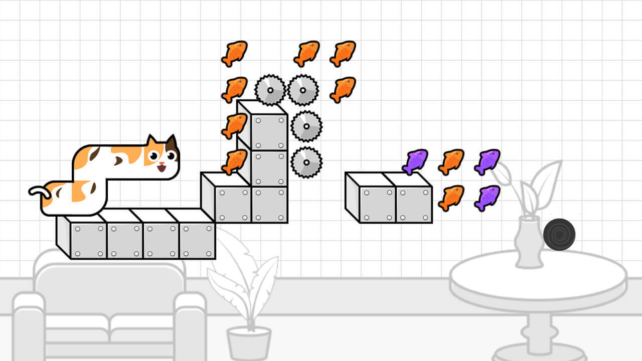 喵喵冲向小鱼干