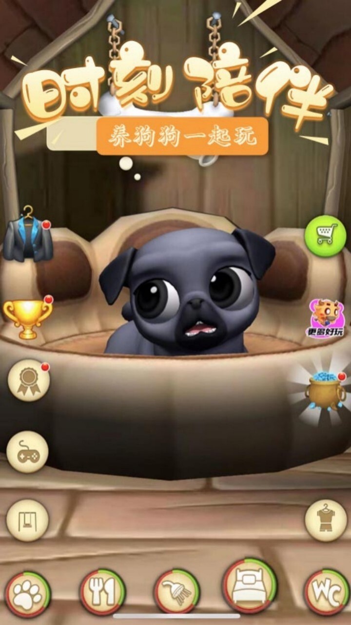 养狗狗一起玩