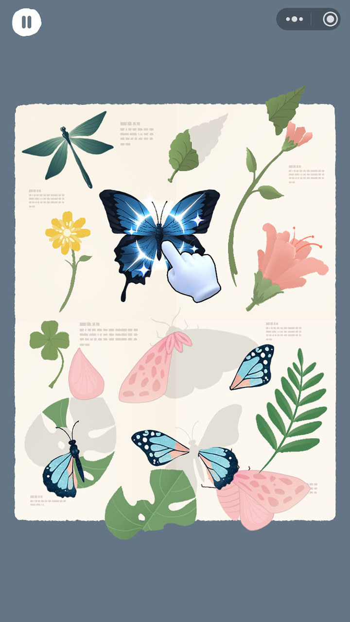 捣乱的猫和聪明的我