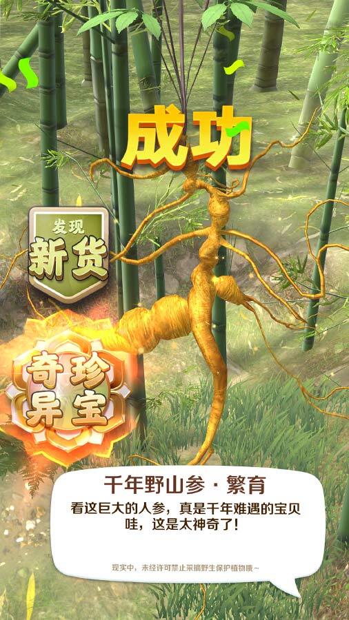 赶山赶海开饭店