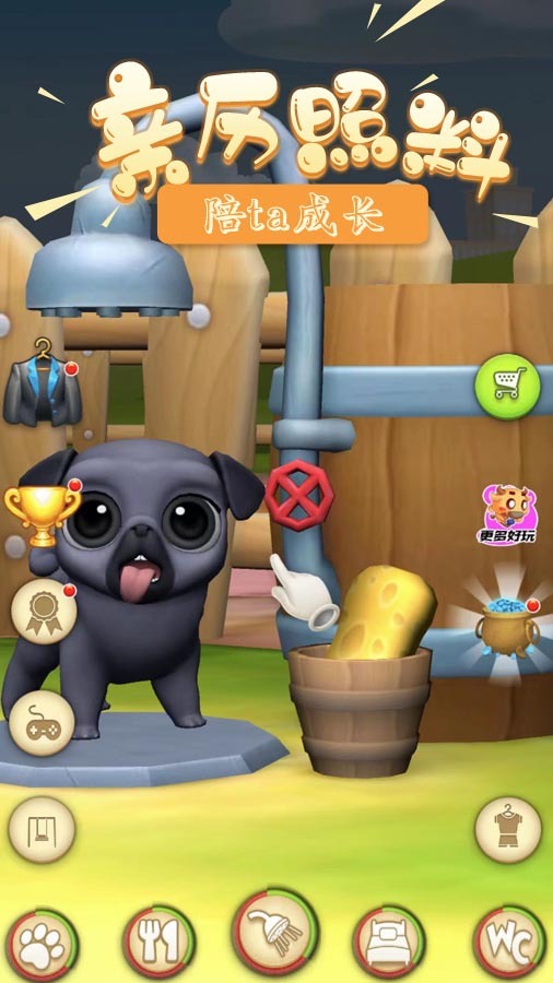 帮女友换装日记