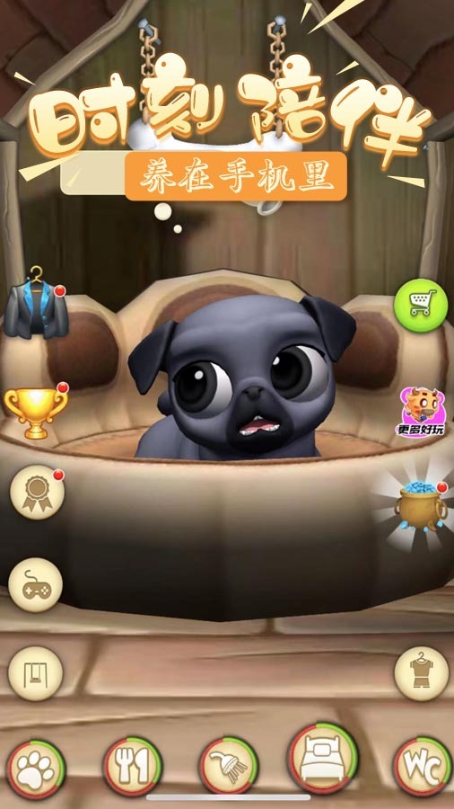 帮女友换装日记